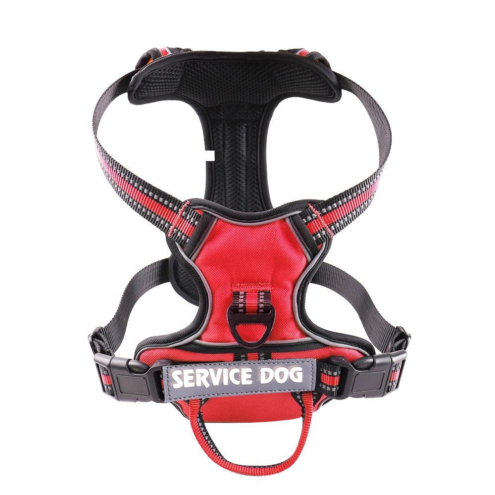 Coleira Peitoral Service Dog - DonDonPets