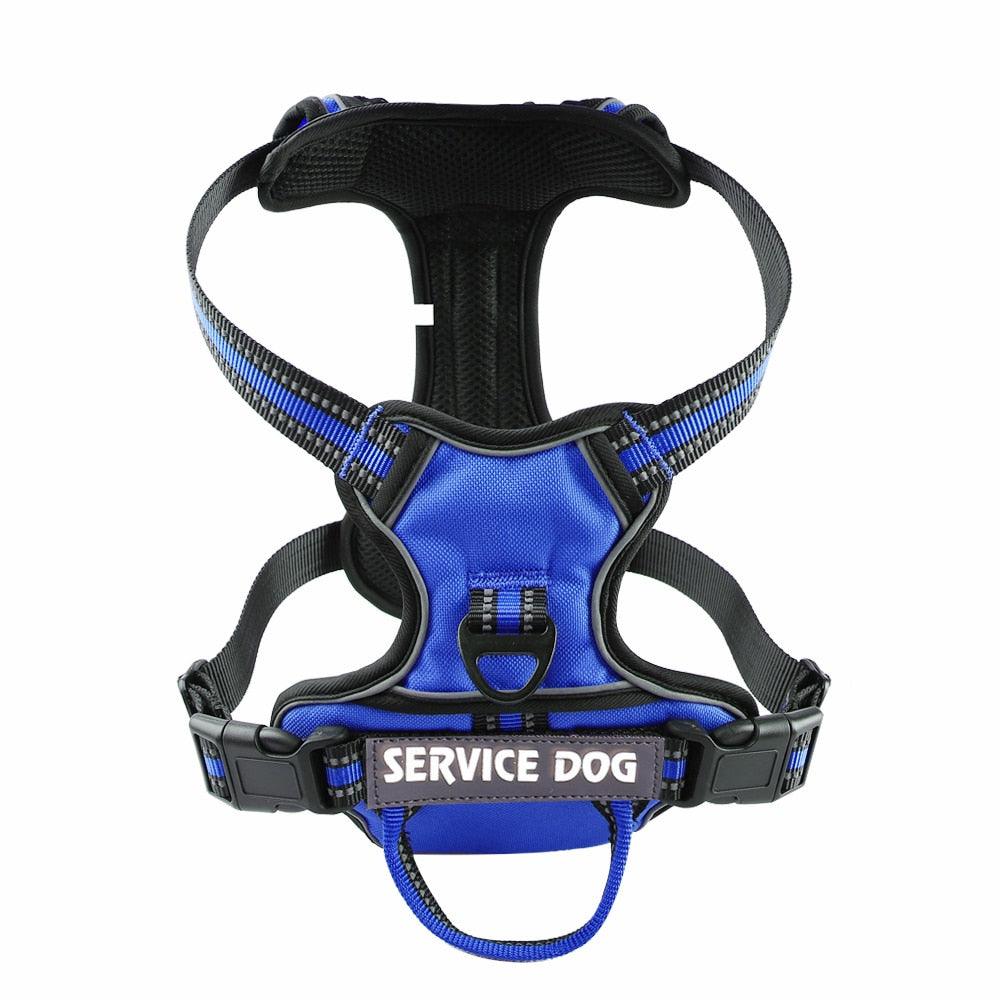 Coleira Peitoral Service Dog - DonDonPets