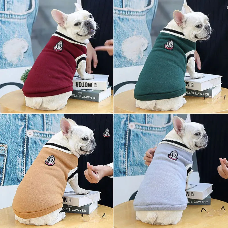 Camisola Estilo Universitário - DonDonPets